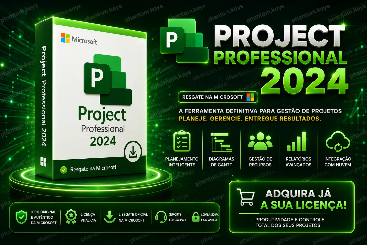 Project 2024 Professional 1PC - RESGATE NA MICROSOFT! | servicos ...